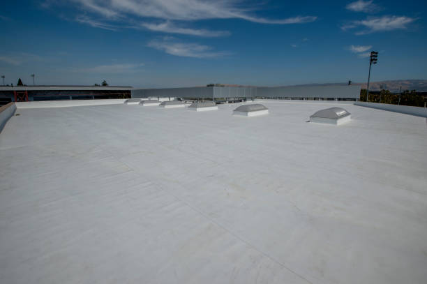 Best Roof Moss and Algae Removal  in Jonesboro, IL