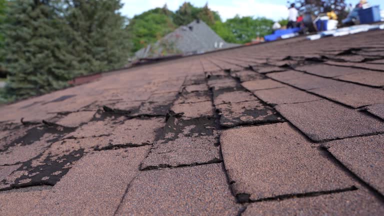 Best Roof Ventilation Installation  in Jonesboro, IL