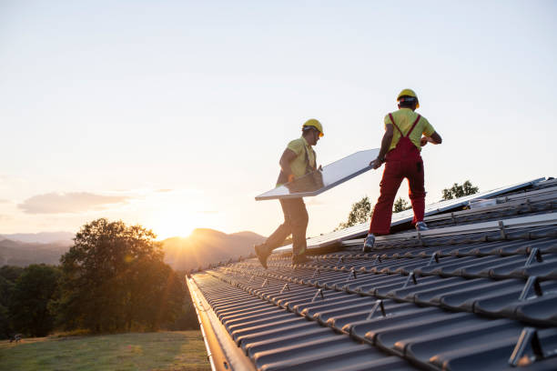 Best Skylight Installation and Repair  in Jonesboro, IL