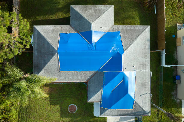 Best Commercial Roofing Services  in Jonesboro, IL
