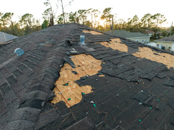 Best Rubber Roofing (EPDM, TPO)  in Jonesboro, IL